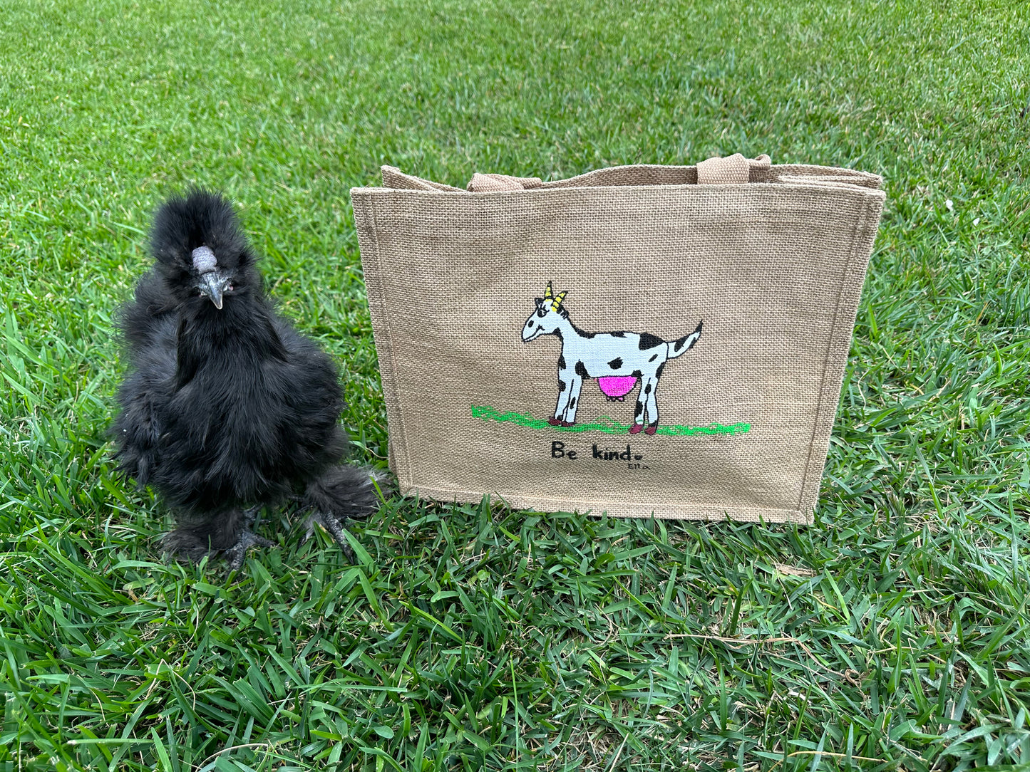 Super Cool Mommy Goat